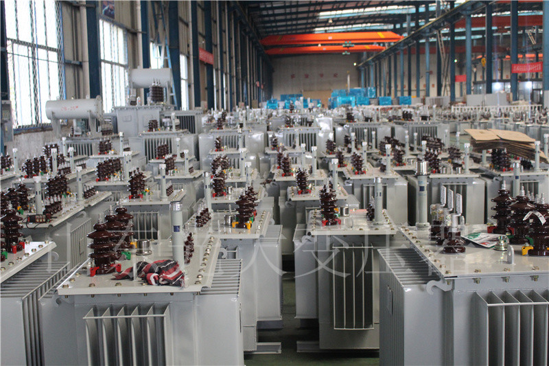 肥城S22-800KVA/10KV